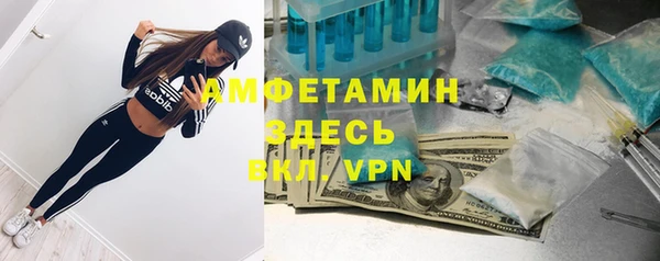 гашик Каменногорск