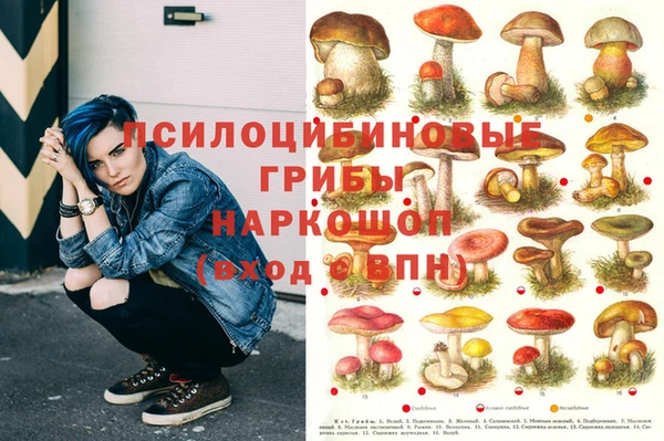 гашик Каменногорск