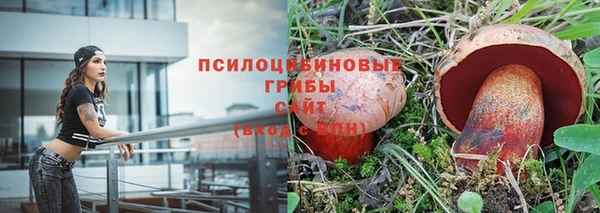 СК Каменка