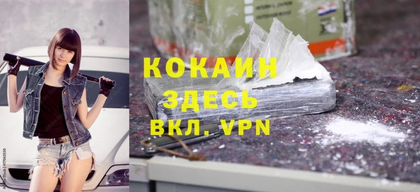 гашик Каменногорск