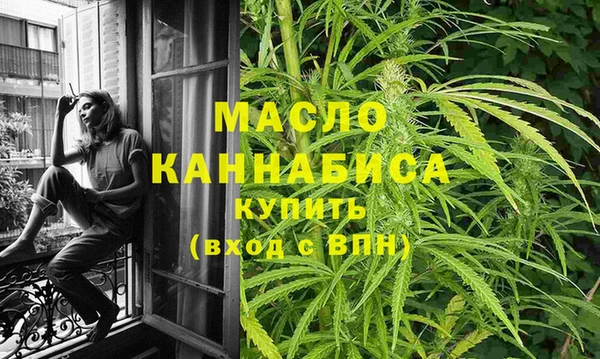 СК Каменка