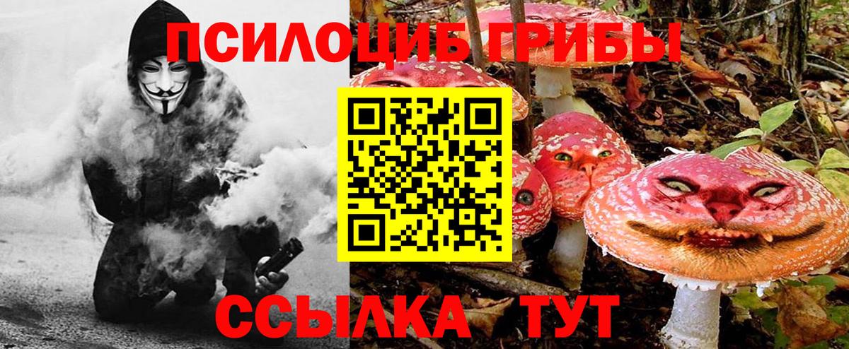 Карачаевск  наркотики  Псилоцибиновые грибы GOLDEN TEACHER  Вход с VPN  Галлюциногенные грибы мухоморы 